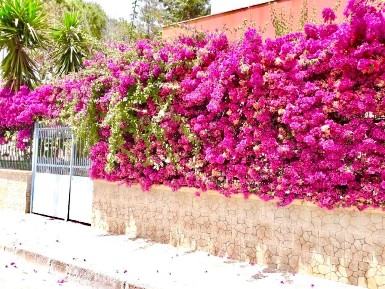 شقة Un Posto Al Sole برينديسي المظهر الخارجي الصورة